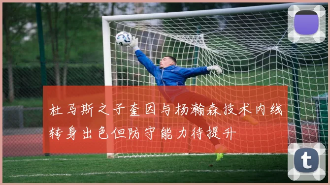 杜马斯之子奎因与杨瀚森技术内线转身出色但防守能力待提升