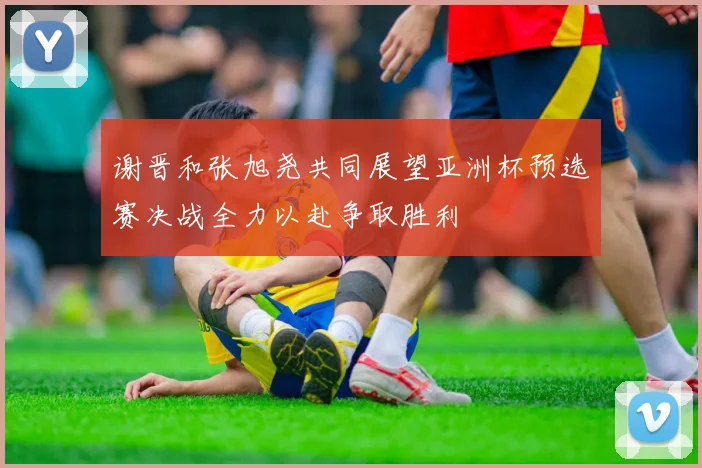 谢晋和张旭尧共同展望亚洲杯预选赛决战全力以赴争取胜利