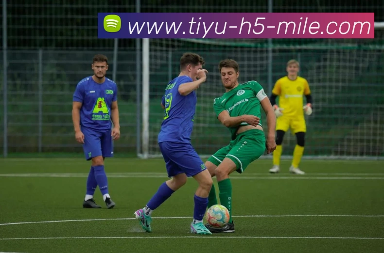 多媒体互动体验