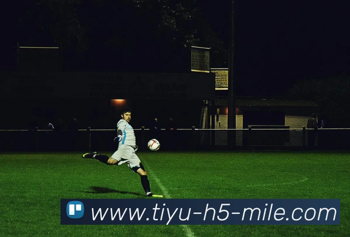 米乐体育APP 高清赛事图